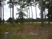 LOT 368 BARLEYS GROVE, OKATIE, SC 29909 