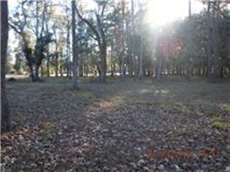 36 OLDFIELD VILLAGE RD, OKATIE, SC 29909 