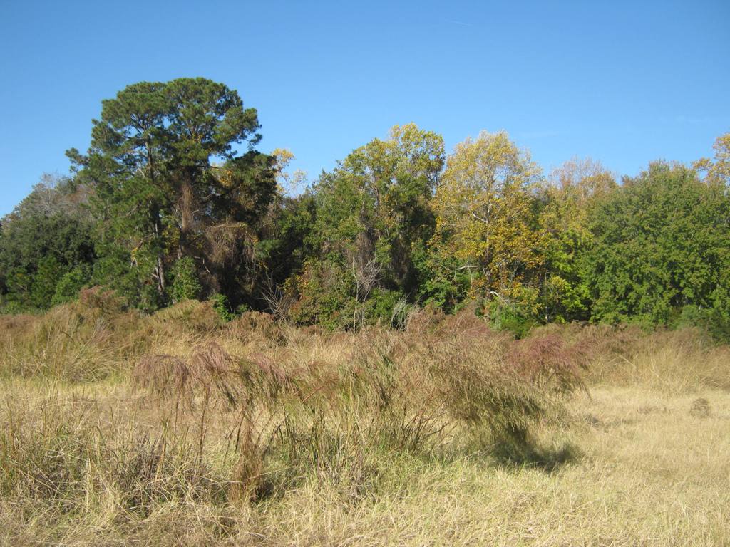 83  PLANTATION HOUSE DR, BLUFFTON, SC 29910 