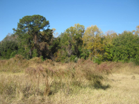 83  PLANTATION HOUSE DR, BLUFFTON, SC 29910 