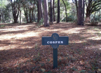 37  CEDAR COVE LN, DAUFUSKIE ISLAND, SC 29915 Foreclosure