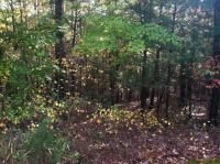 LOT 65 KEOWEE VINEYARDS AT CLIFFS, SUNSET, SC 29685 