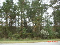 4185  DUCK CLUB RD, HOLLYWOOD, SC 29449 