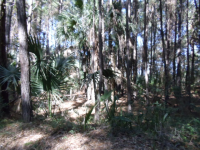 117  OLD HOUSE LN, DEWEES ISLAND, SC 29451 