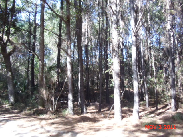 116 OLD HOUSE LN, DEWEES ISLAND, SC 29455 