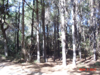 116 OLD HOUSE LN, DEWEES ISLAND, SC 29455 