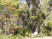 3496 HENRIETTA HARTFORD, MT PLEASANT, SC 29466 