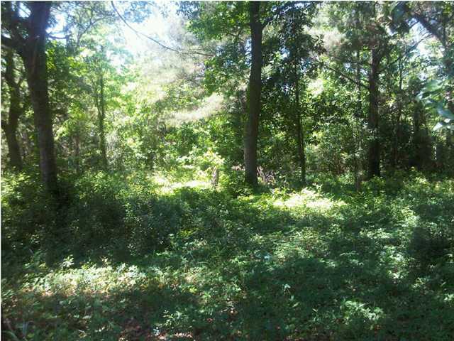 2509  CHARTER OAKS DR, MT PLEASANT, SC 29466 