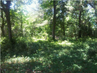 2509  CHARTER OAKS DR, MT PLEASANT, SC 29466 