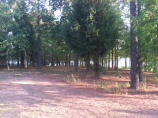 518 GRAND HARBOR BLVD, NINETY SIX, SC 29666 