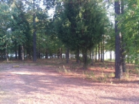 518 GRAND HARBOR BLVD, NINETY SIX, SC 29666 