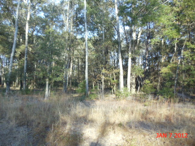 LOT 2 PALMETTO RD, EDISTO ISLAND, SC 29438 