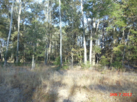 LOT 2 PALMETTO RD, EDISTO ISLAND, SC 29438 