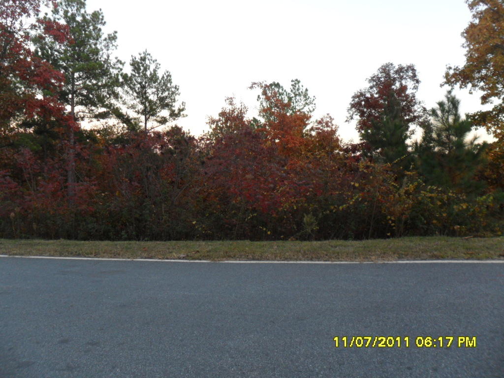 LOT 13 JASMINE COVE, SALEM, SC 29676 