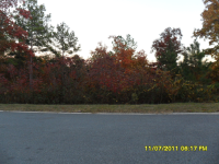 LOT 13 JASMINE COVE, SALEM, SC 29676 