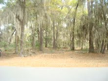 LOT M-9 COLLETON RIVER PLANTATION, BLUFFTON, SC 29910 