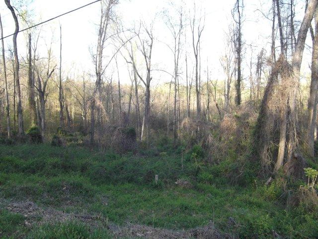 135  GEORGETOWN WAY, EASLEY, SC 29640 