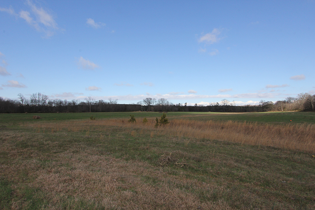 TRACT 14 WOODBERRY F, CATAWBA, SC 29704 