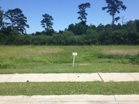 LOT 128  SOUTH ISLAND, GEORGETOWN, SC 29440 