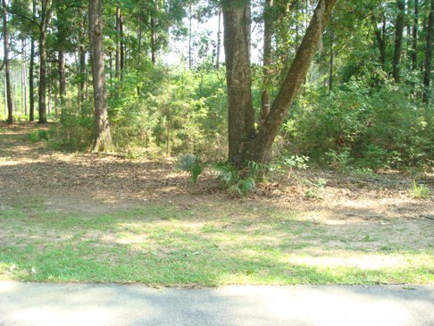 62  TROUT HOLE RD, BLUFFTON, SC 29910 