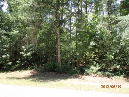 117  MT PELIA RD, BLUFFTON, SC 29910 