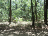 330 School Rd, Daufuskie Island, SC 29915 Foreclosure