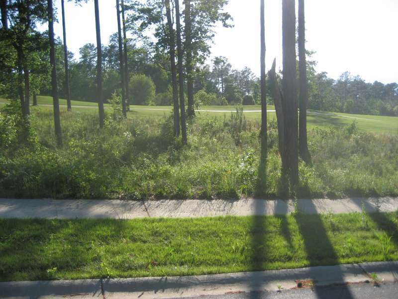 LOT 21 MILLS GROVE C, BLYTHEWOOD, SC 29016 