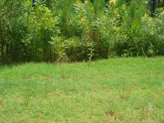 LOT 95 BLANDING RIDGE, BLYTHEWOOD, SC 29016 