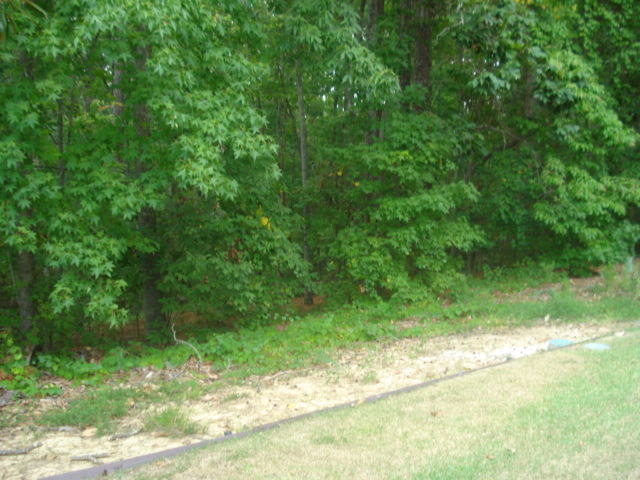 LOT 36 HAMPTON PLACE, BLYTHEWOOD, SC 29016 