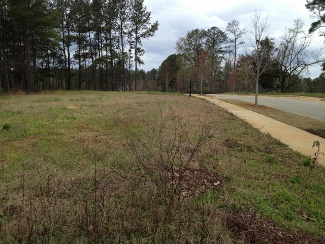 1027 COOGLER CROSSING DR LT 107 MILLS GR, BLYTHEWOOD, SC 29016 