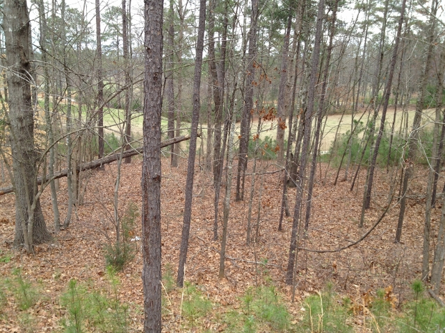 LOT 48 MILLS GROVE, BLYTHEWOOD, SC 29016 