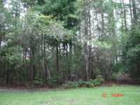 25  SPRING ISLAND DR, OKATIE, SC 29909 