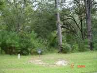 7  HASELL POINTE RD, OKATIE, SC 29909 