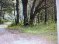 61   AMBER LN, DAUFUSKIE ISLAND, SC 29915 Foreclosure