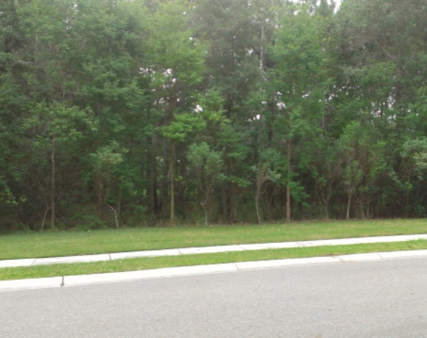 497 Triple Oak Dr, Mount Pleasant, SC 29466 