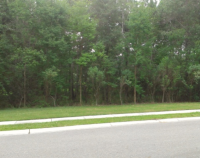 497 Triple Oak Dr, Mount Pleasant, SC 29466 