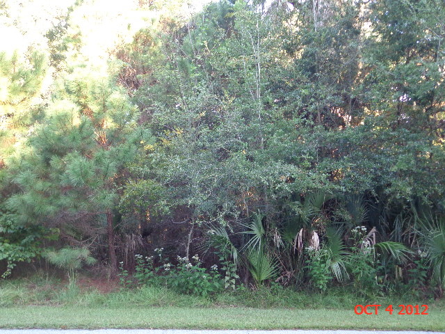 76  NEW SETTLEMENT RD, KIAWAH ISLAND, SC 29455 