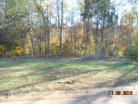 150  RED GLOBE LN, WOODRUFF, SC 29388 