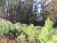 LOT 213 EDGEWATER, LANCASTER, SC 29720 
