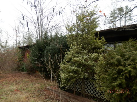 1017 Cove Creek Rd, Pickens, SC 29671 