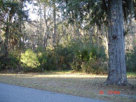 LOT 440 PALMETTO BLU, BLUFFTON, SC 29910 
