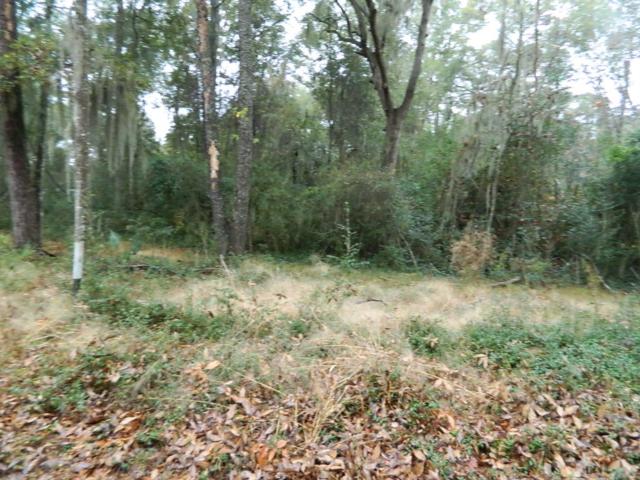 LOT 14, COOSAW RIVER, BEAUFORT, SC 29907 