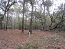 281  SPRING ISLAND DR, OKATIE, SC 29909 