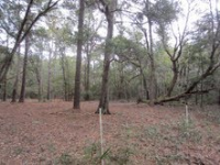 281  SPRING ISLAND DR, OKATIE, SC 29909 