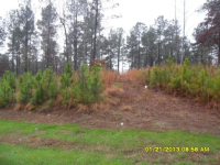 LOT 57 CLIFFS OF KEO, SIX MILE, SC 29682 