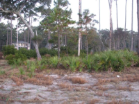 44  DRIFTWOOD COTTAGE LN, DAUFUSKIE ISLAND, SC 29915 