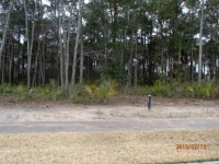 LOT 165 BLOCK F PALM, BLUFFTON, SC 29910 