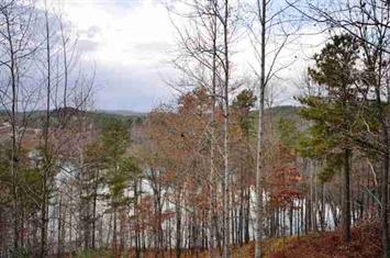 221 Governor Glen Dr (Apn# 4141-00-, Sunset, SC 29685 