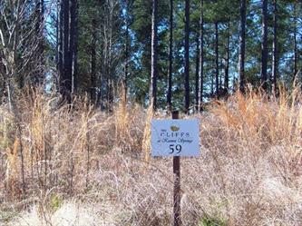 Lot 59 Sec 1 Keowee Sprgs (Apn# 413, Six Mile, SC 29682 