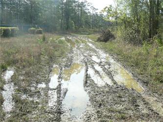 Tract 8 Hwy 707 (190-00-02-092), Myrtle Beach, SC 29588 